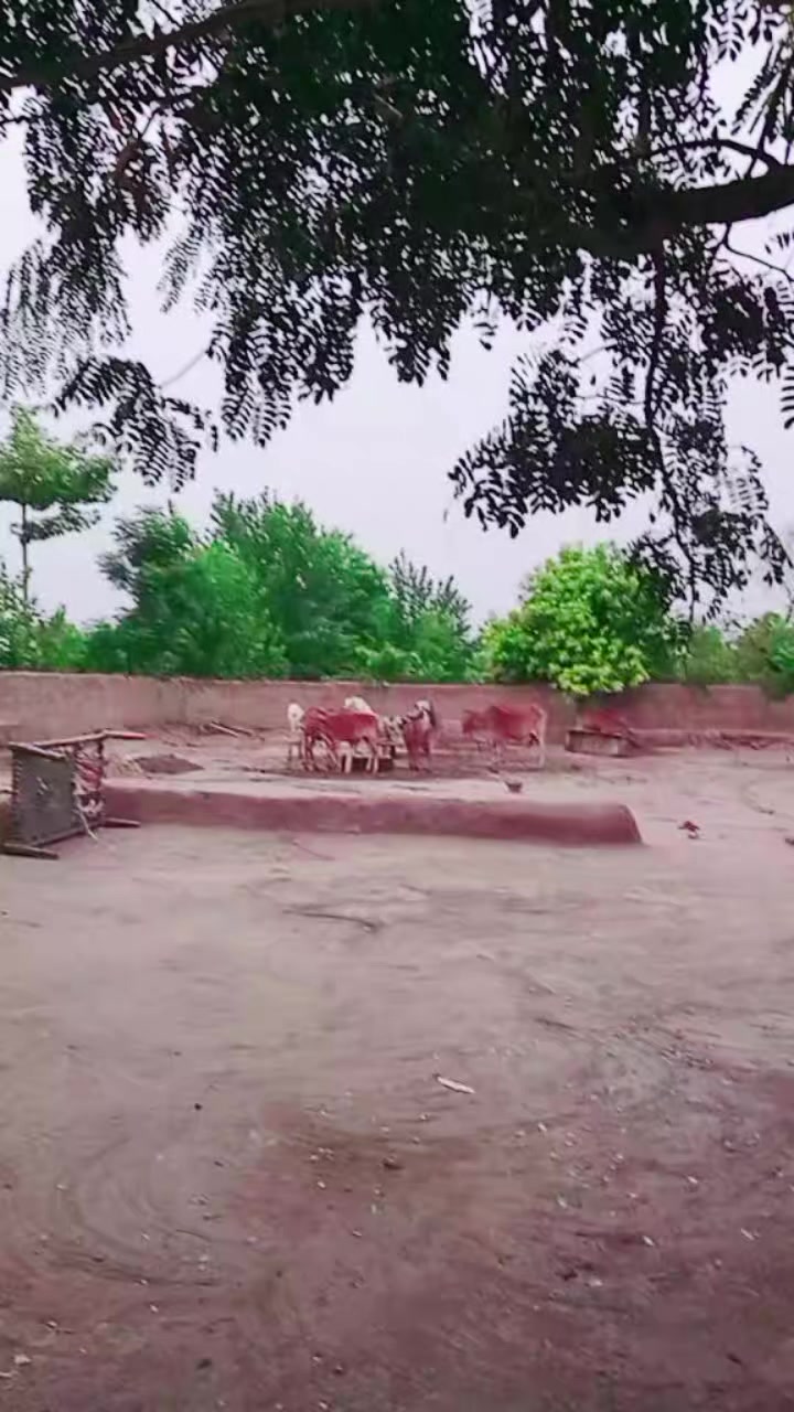@Nadia khan 56822