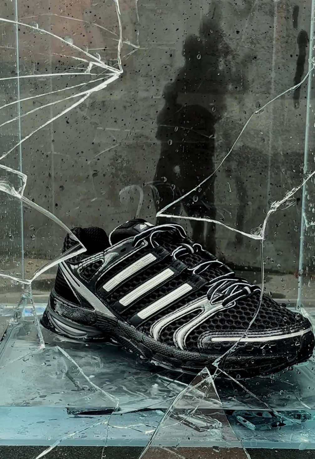 @Foot Locker EU