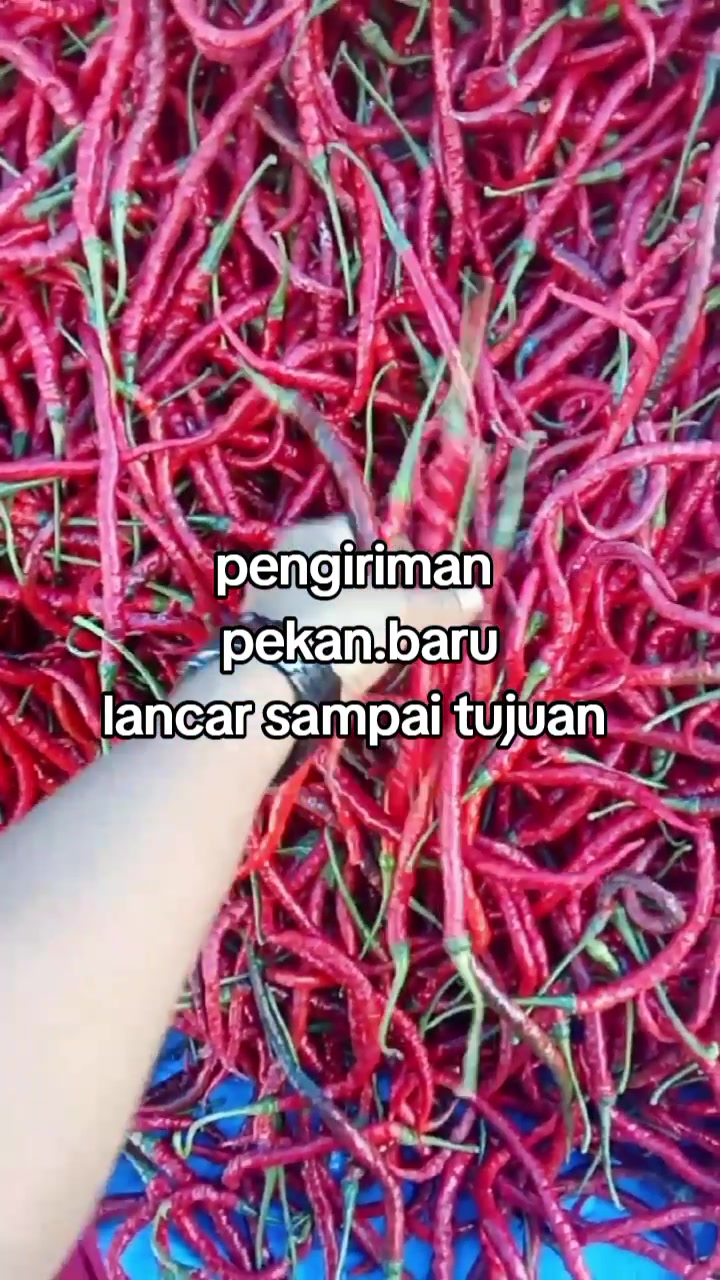 @🥰Birink uda🥰