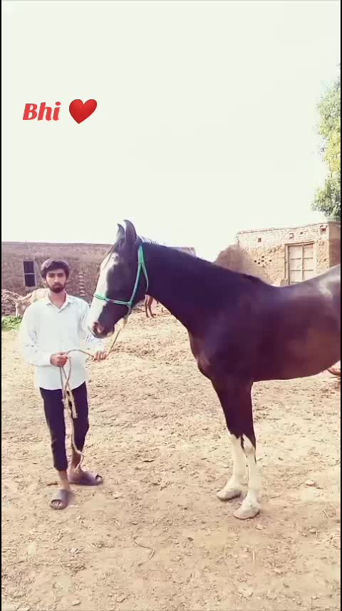 @LASHARI BALOCH