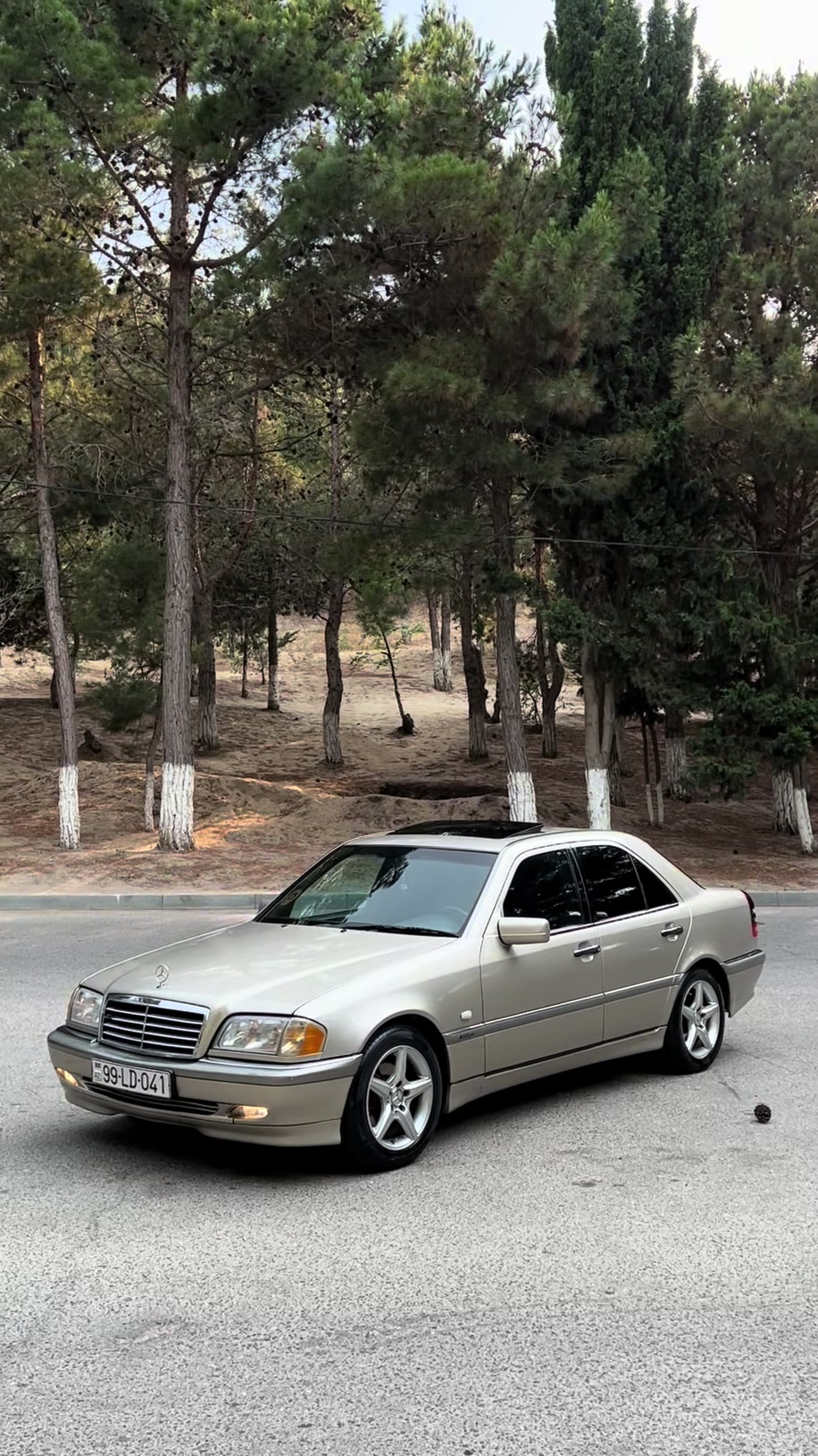@ℒ𝒟.41🇦🇿
