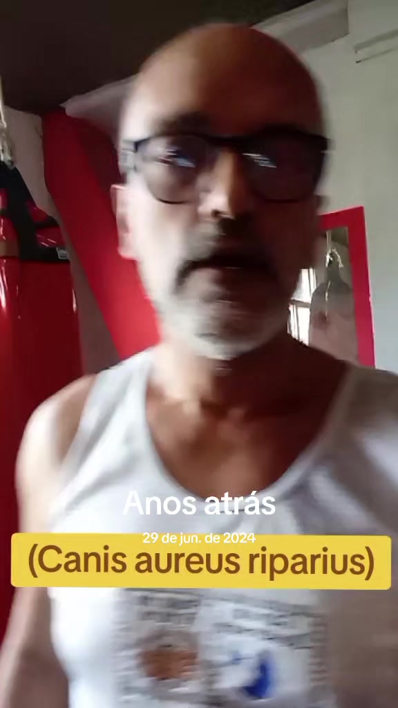 @Afonso Henrique