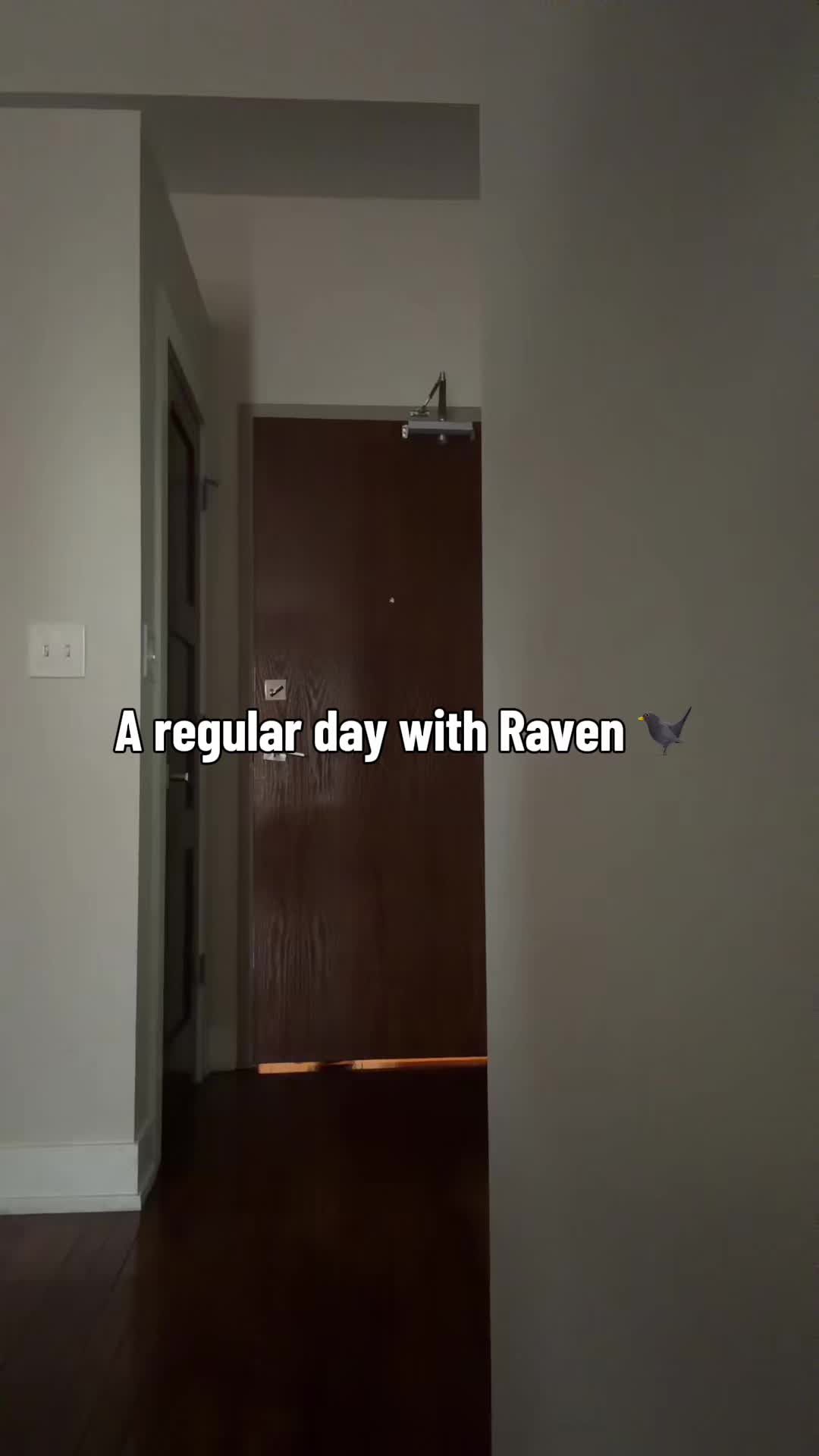 @VENYUM