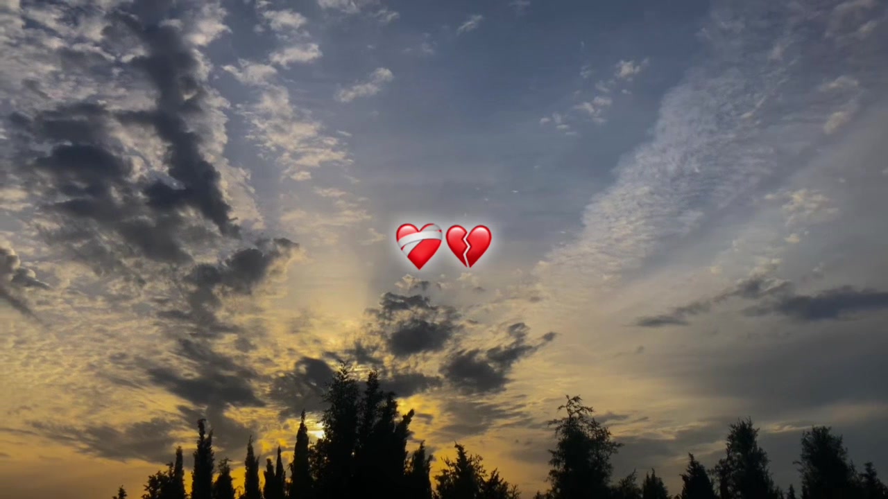 @ray2nn_ziedi