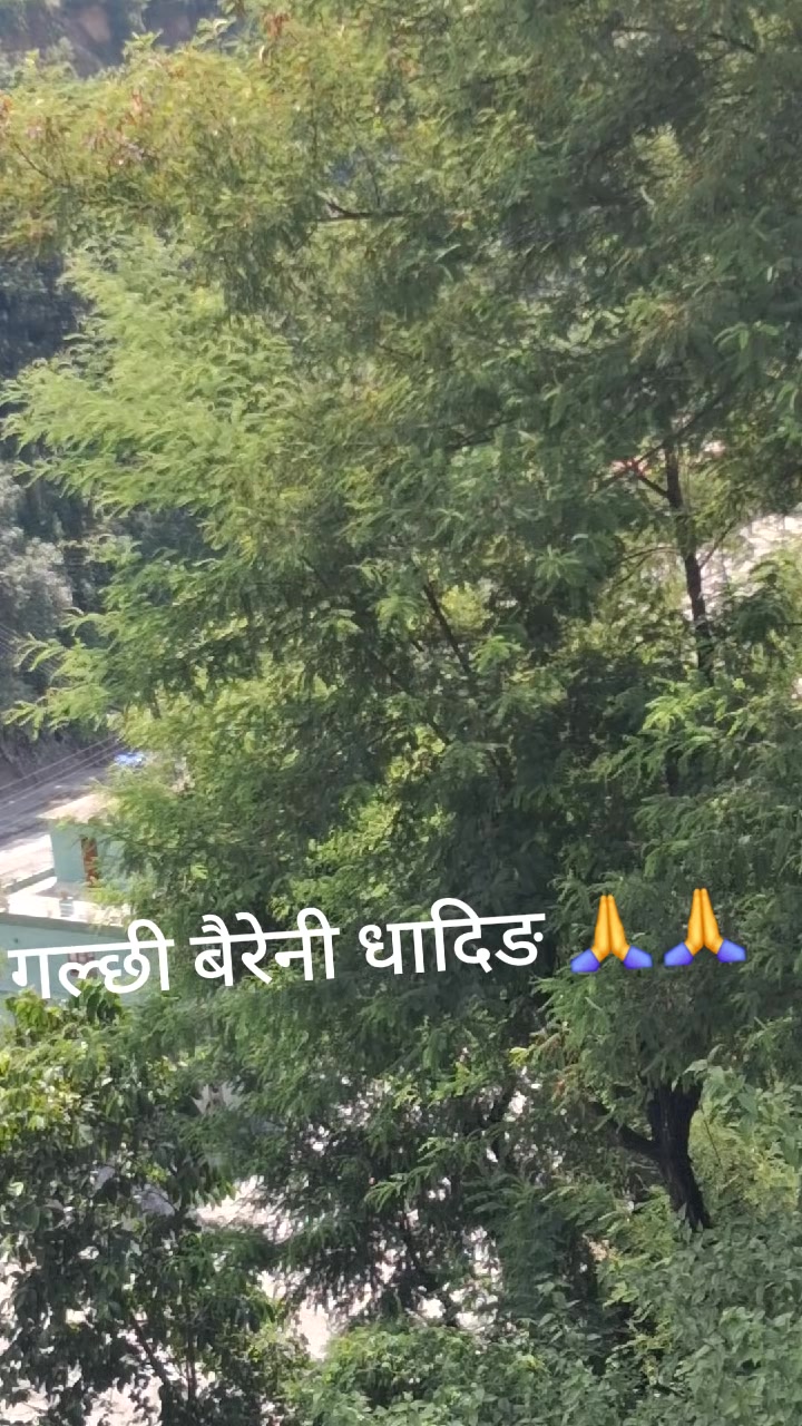@rupakhetigautam