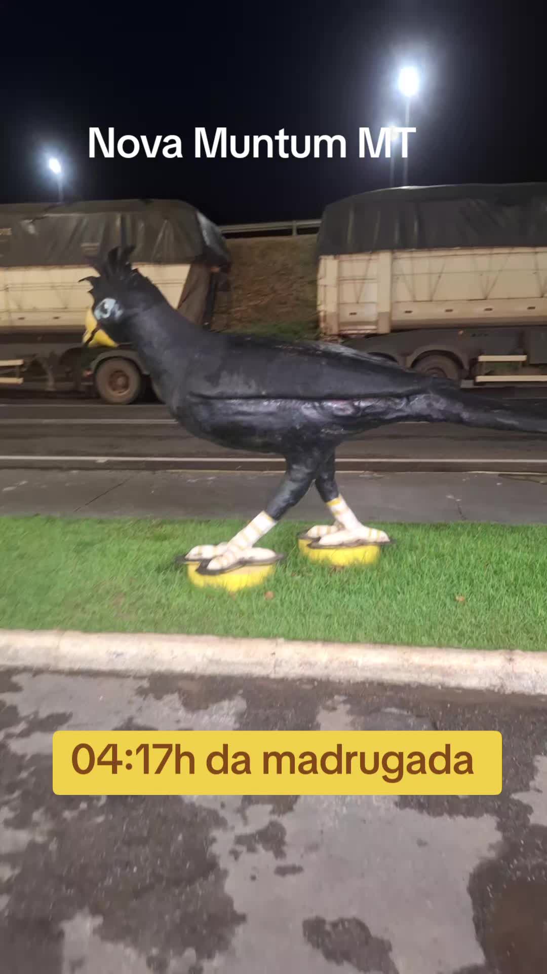 @Nalzedir França Militão