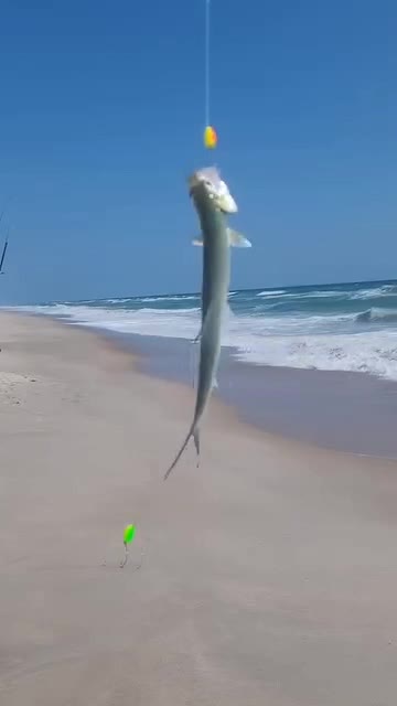 @Ghost of Space Coast Fishing