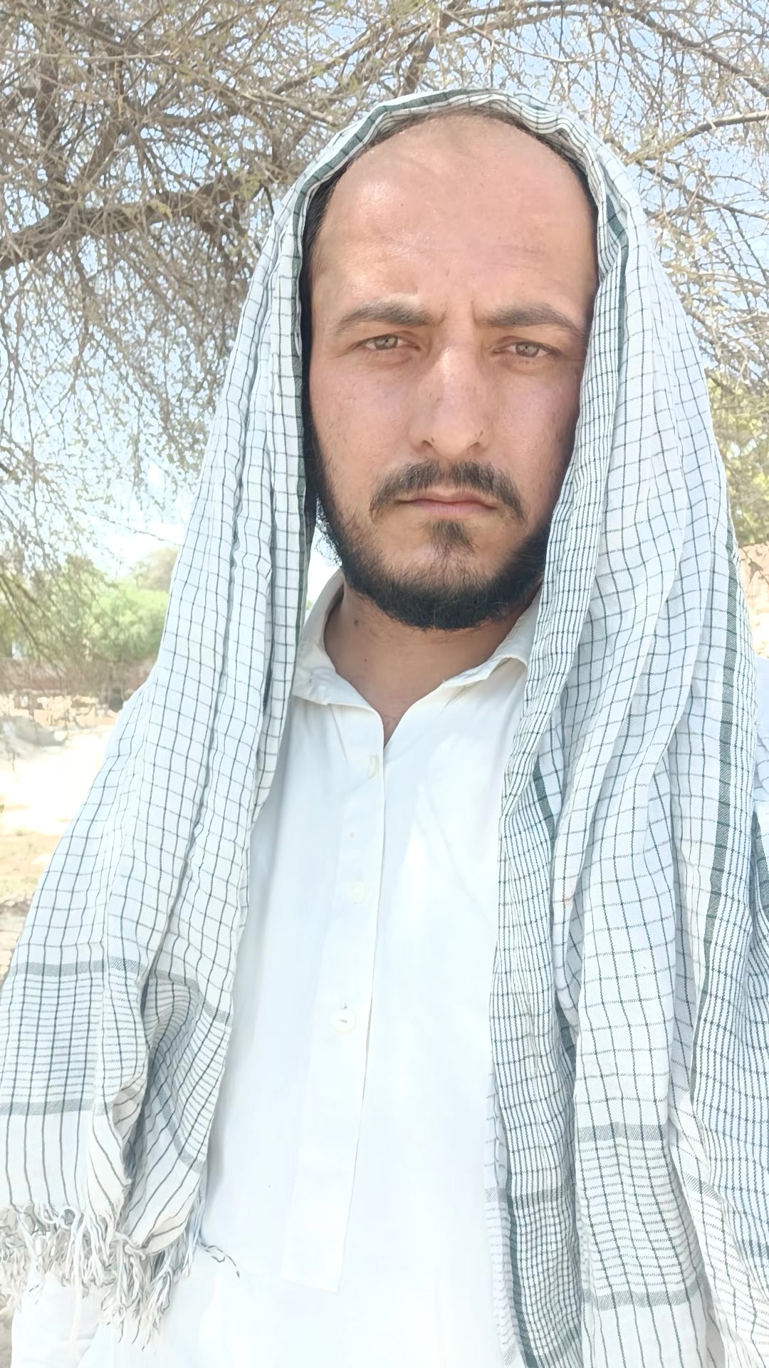 @Anees Shakir