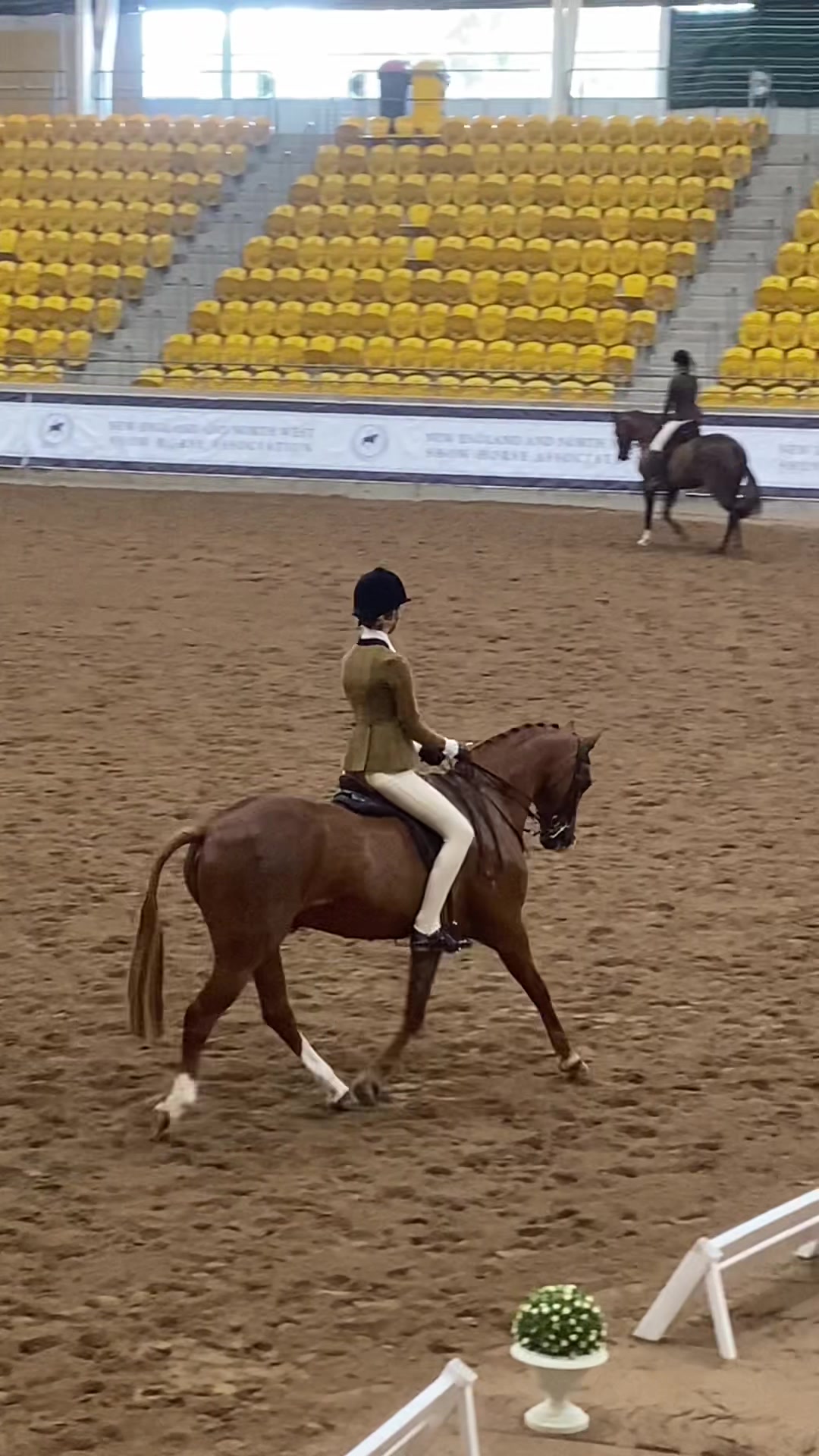 @AR show horses