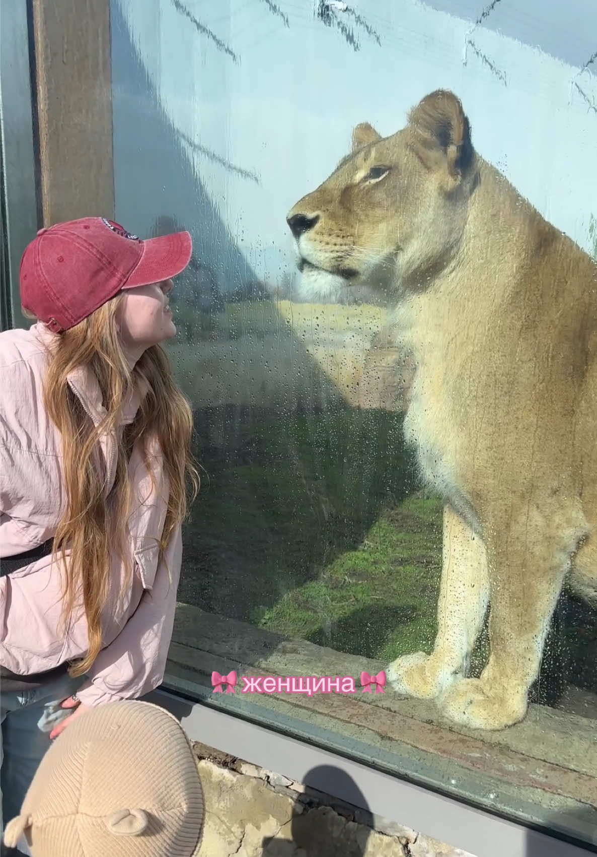 @на связи Леся 🌱