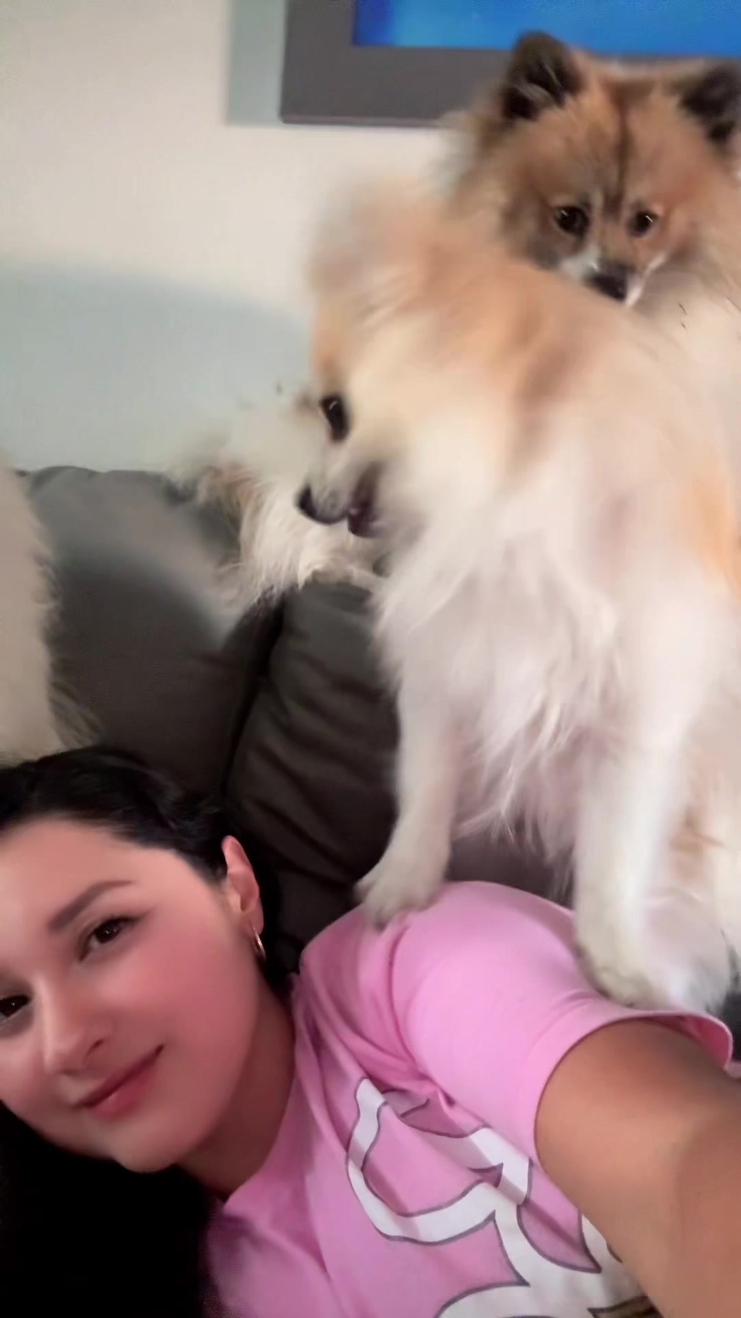 @Dallana y Dexter🐶