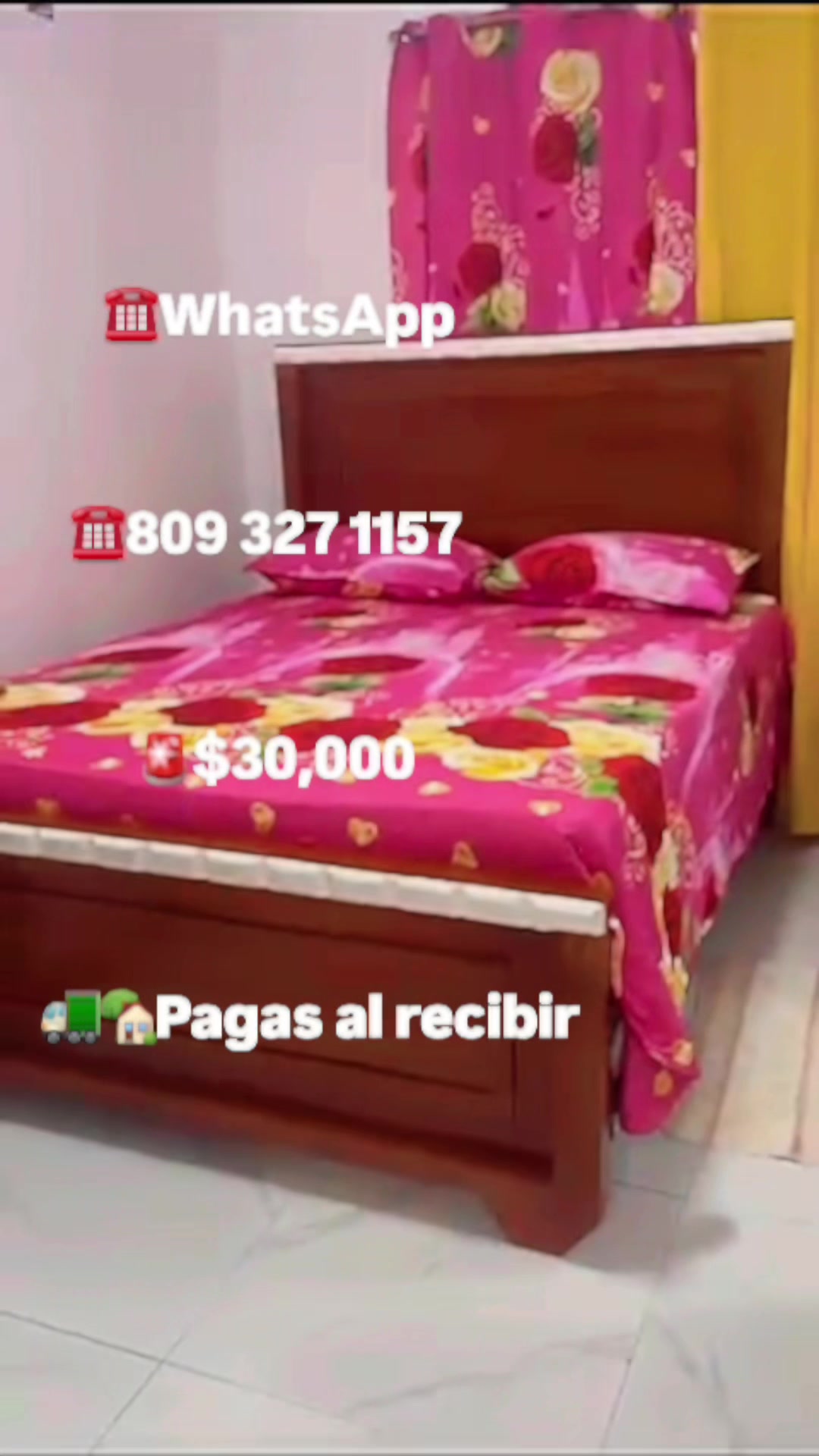 @☎Whatsapp 809 327 1157☎