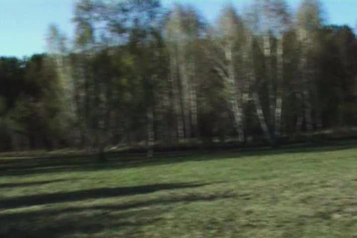 @crazymad