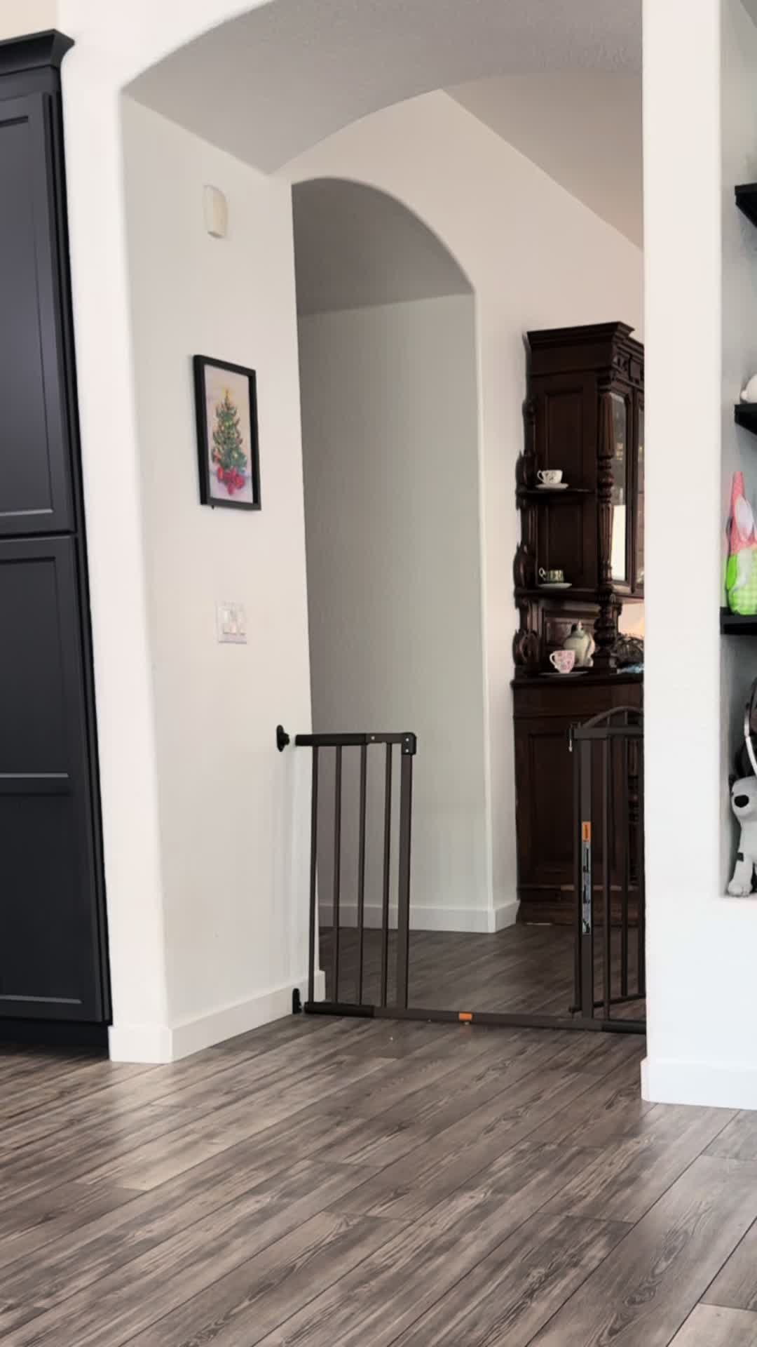 @Indie.pittie