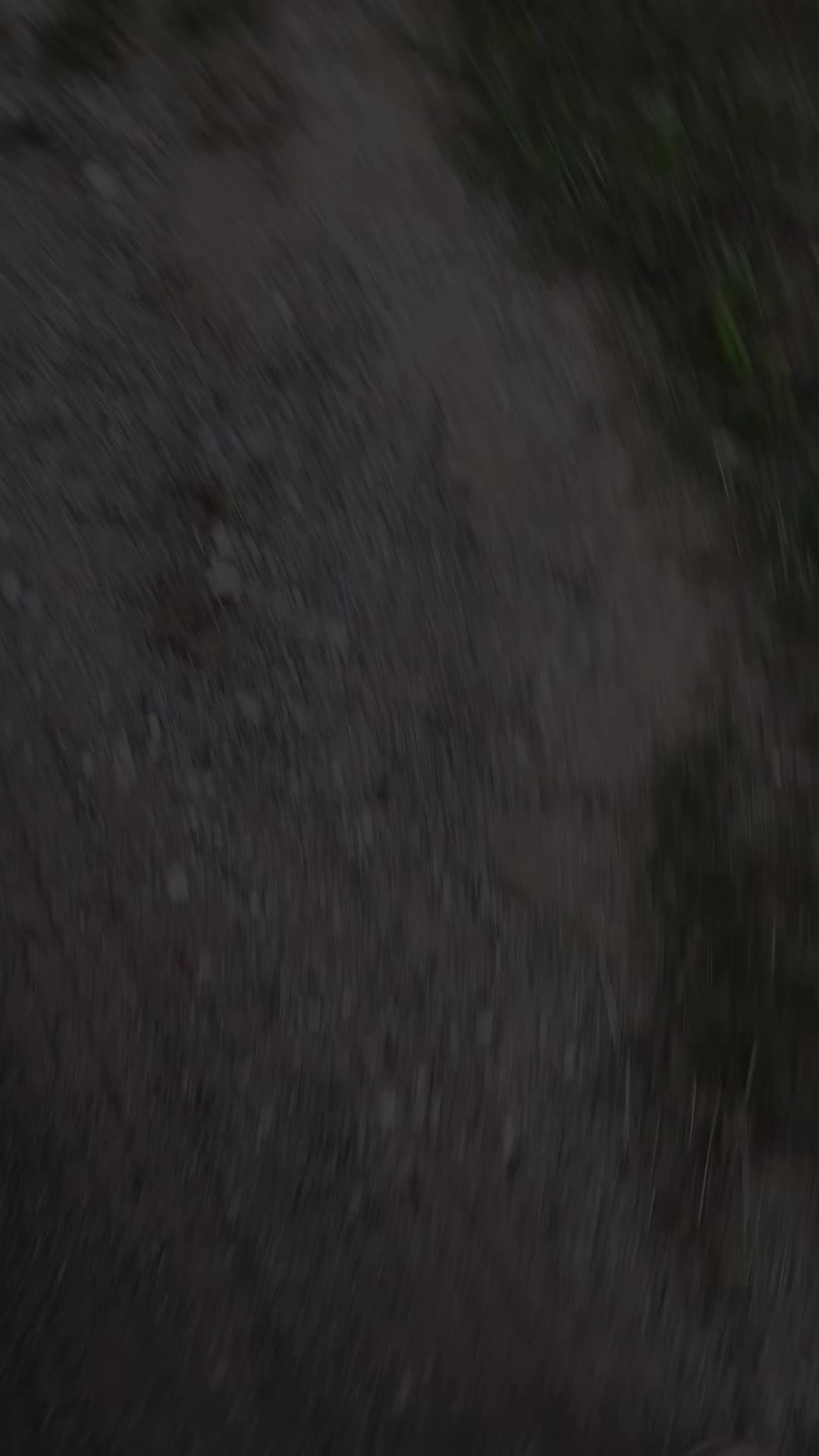 @Dogmansshadow