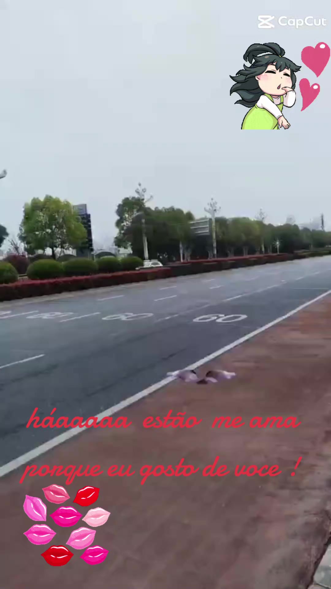 @Paula de Paula
