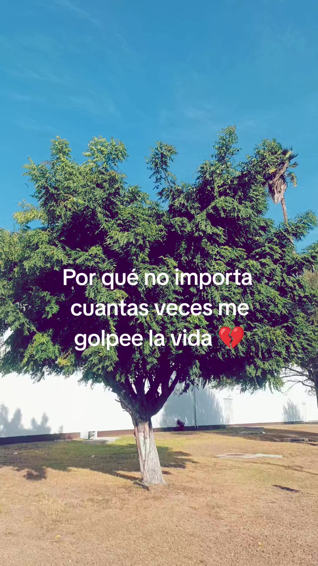 @ZaenSmash