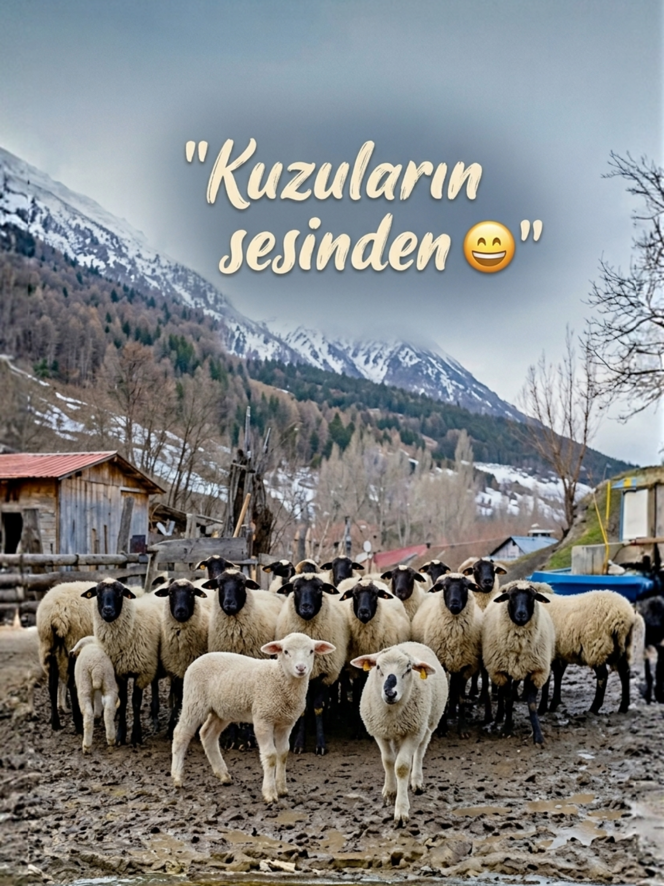 @Hüseyin URGAÇ