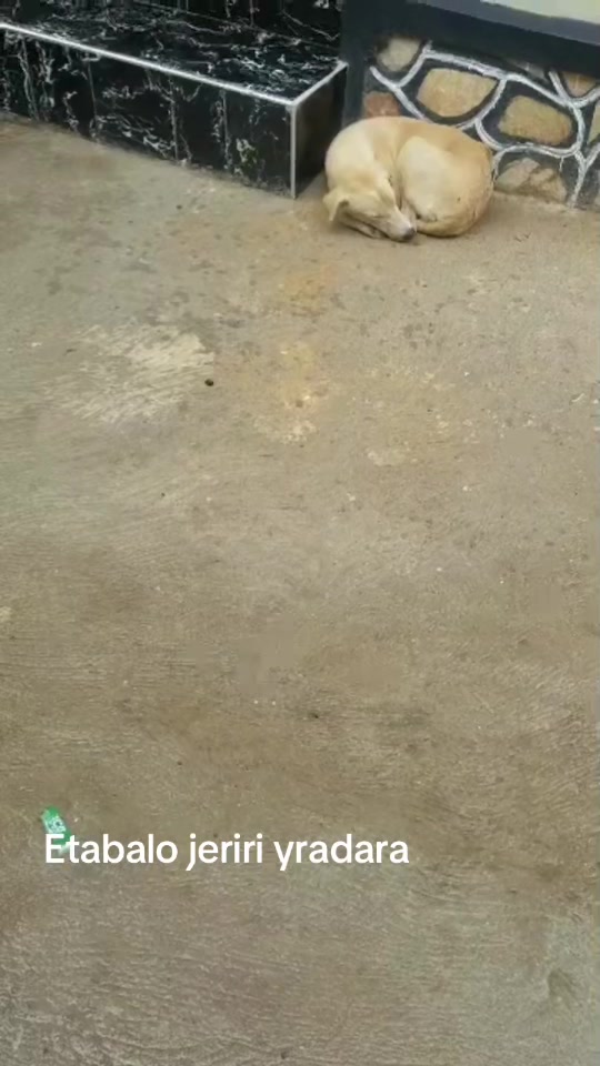 @Nakandi Bamweyana