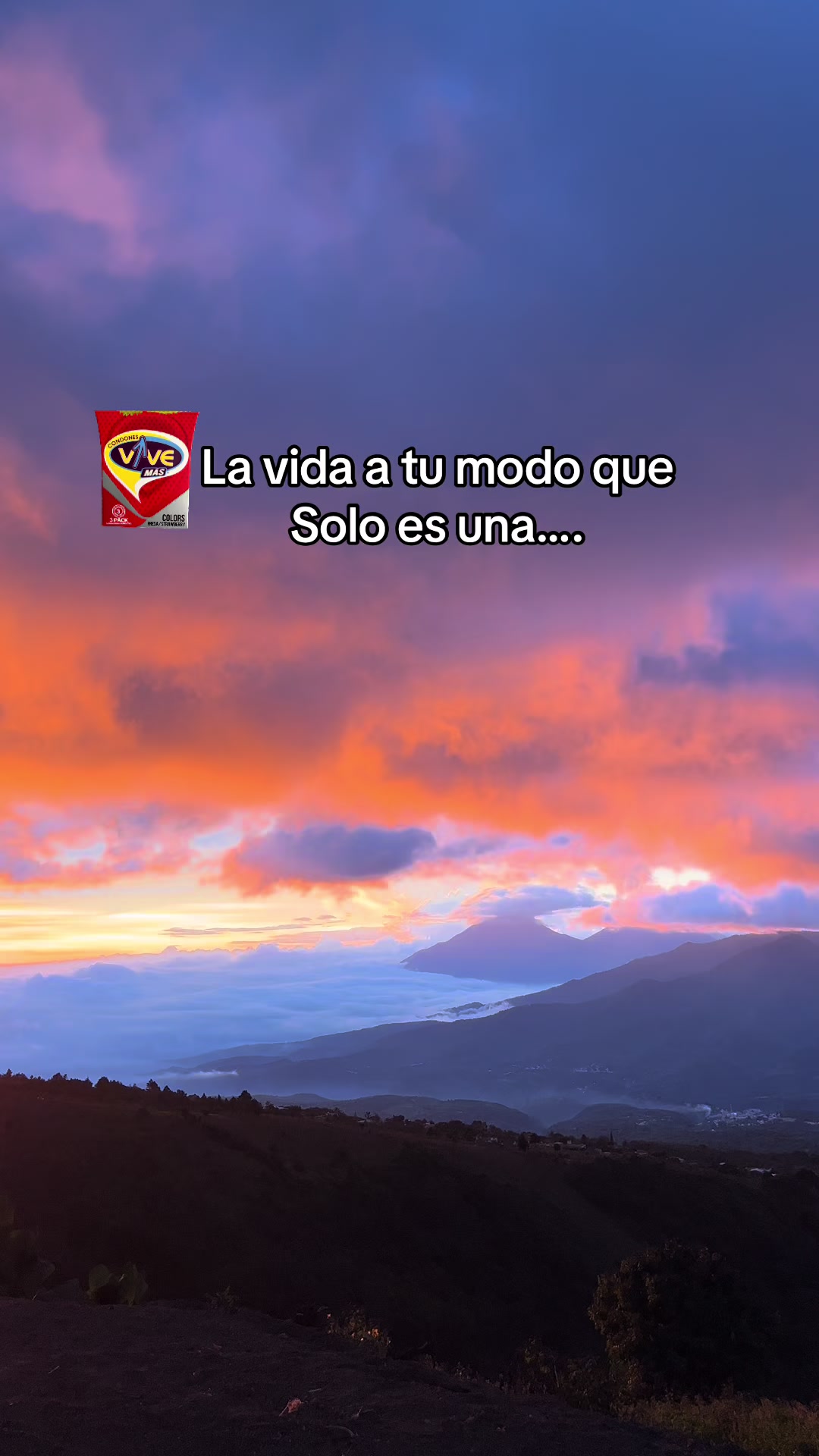 @Dani🕷️