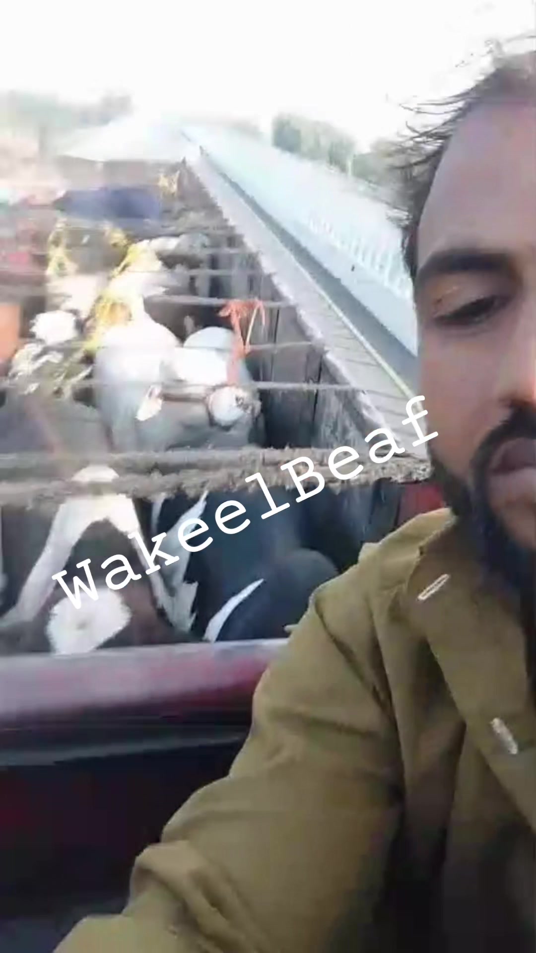 @wakeelbeaf