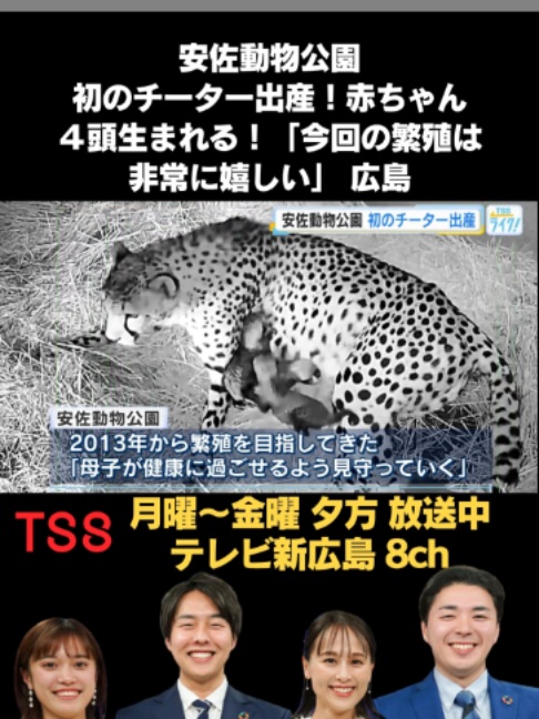 @テレビ新広島公式TikTok