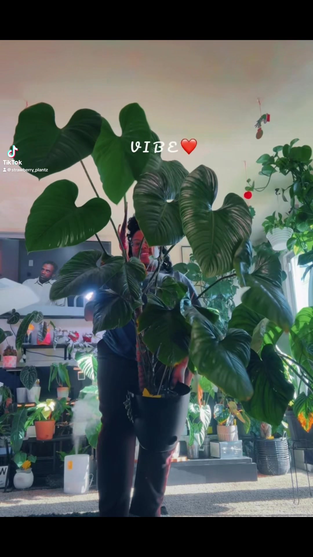@Strawberry_Plantz