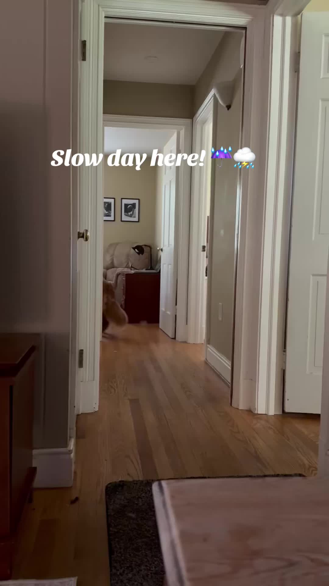 @lifewithduke2025