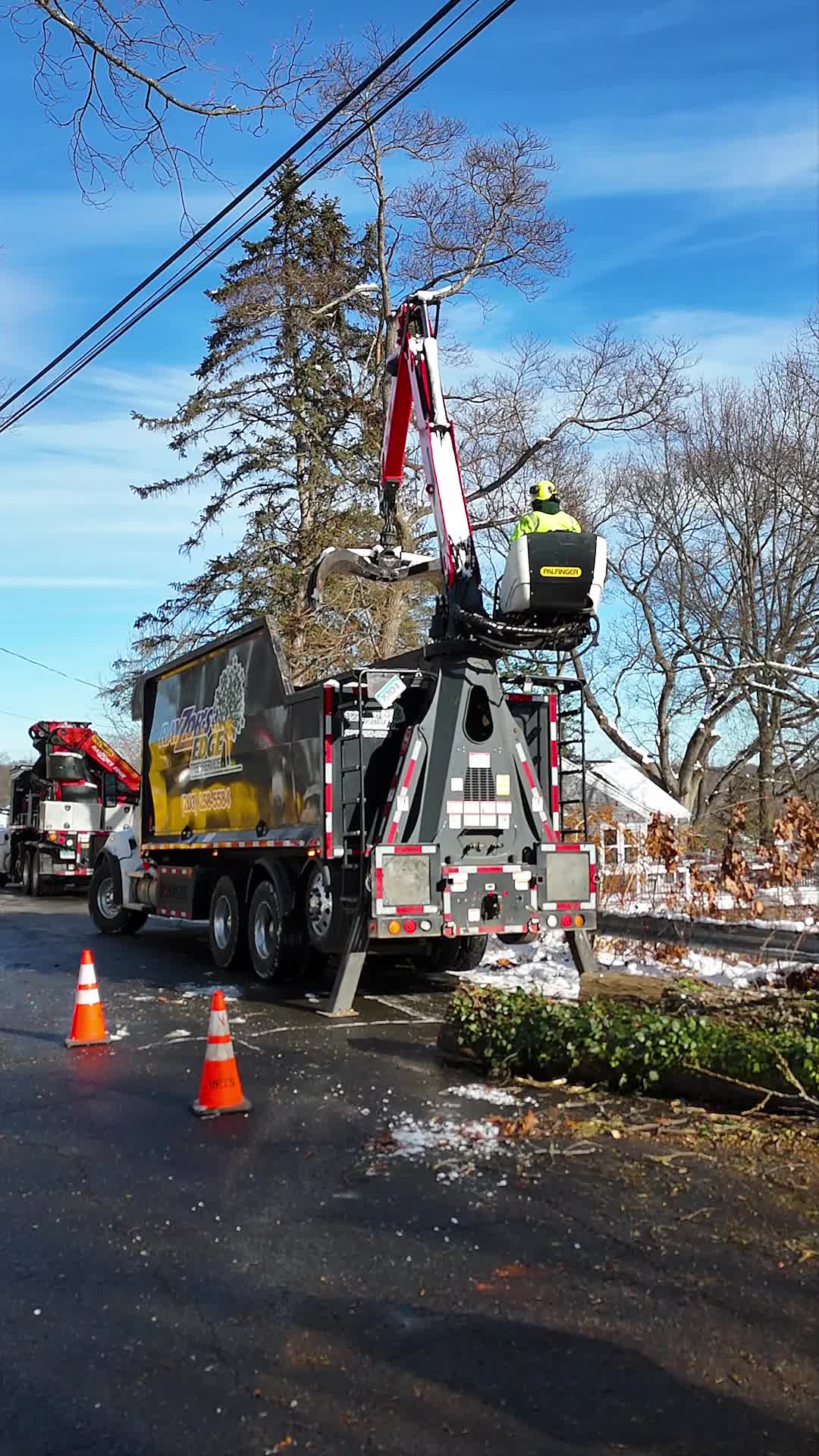 @DistinctiveTreeCare
