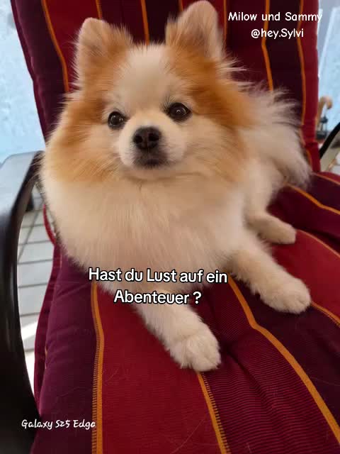 @Milow und Sammy