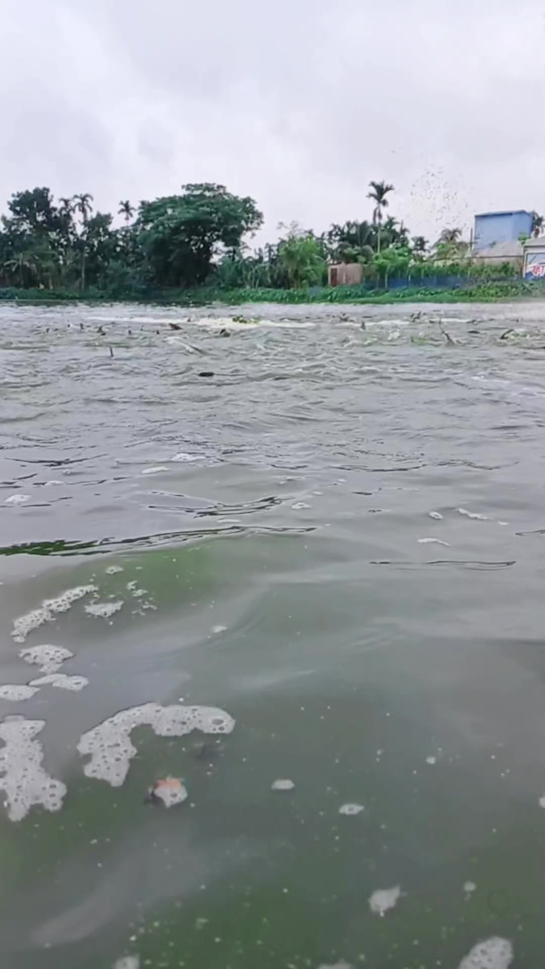 @সুজন মিয়া