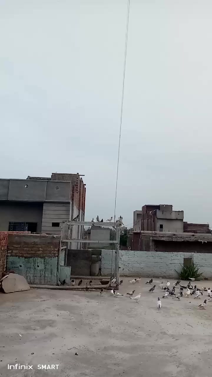 @ziddi Chauhan
