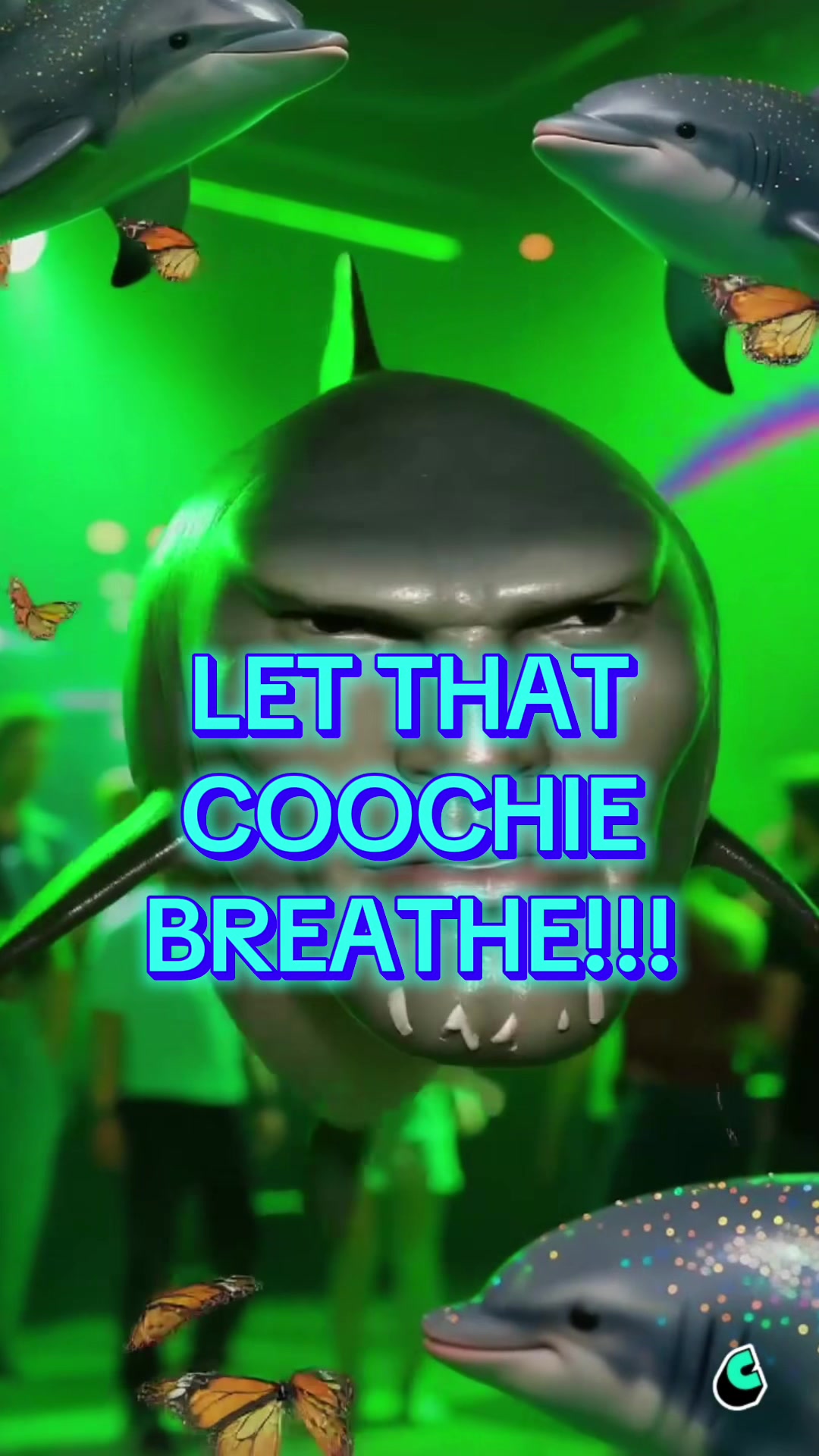 @divasharkmemes