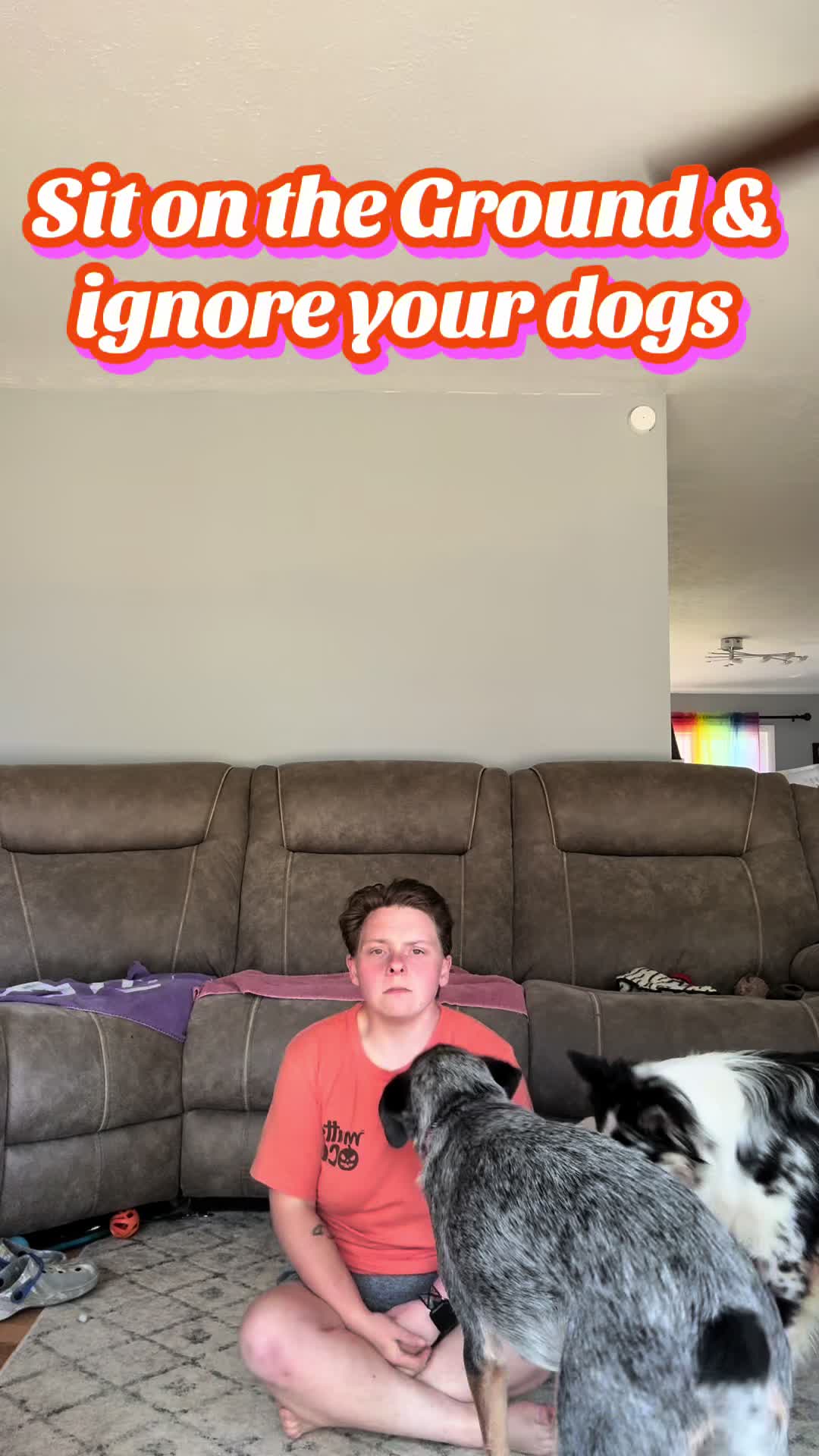 @the_crazy_k9_crew