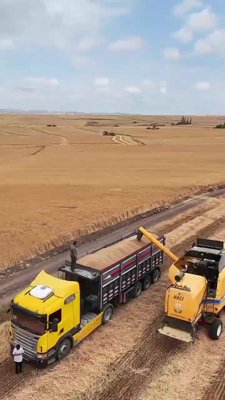 @Alperen Burak Bağcı