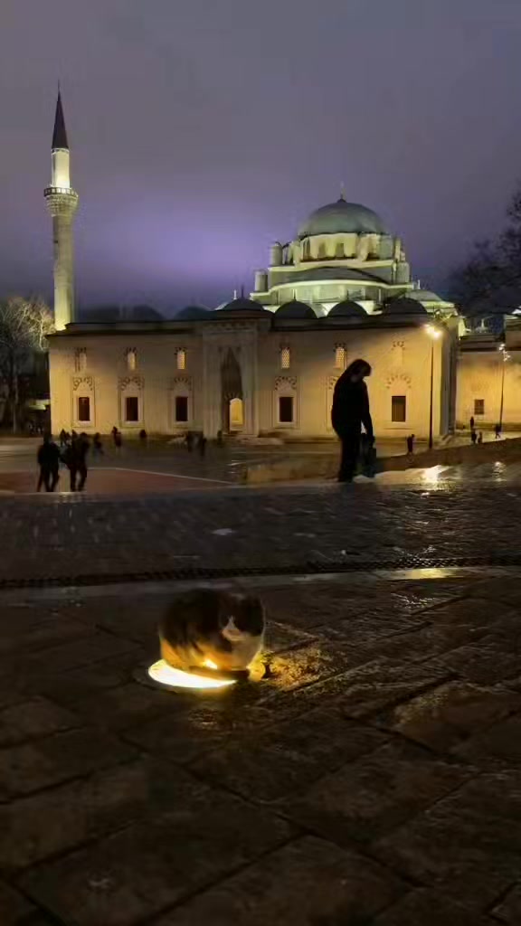 @M&uuml;cahit Korkut