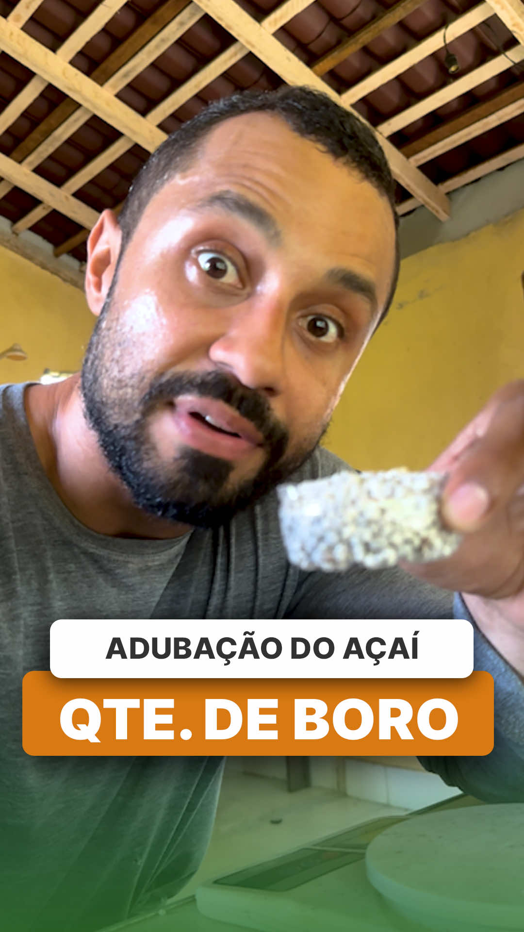 @ViveiroProMudas