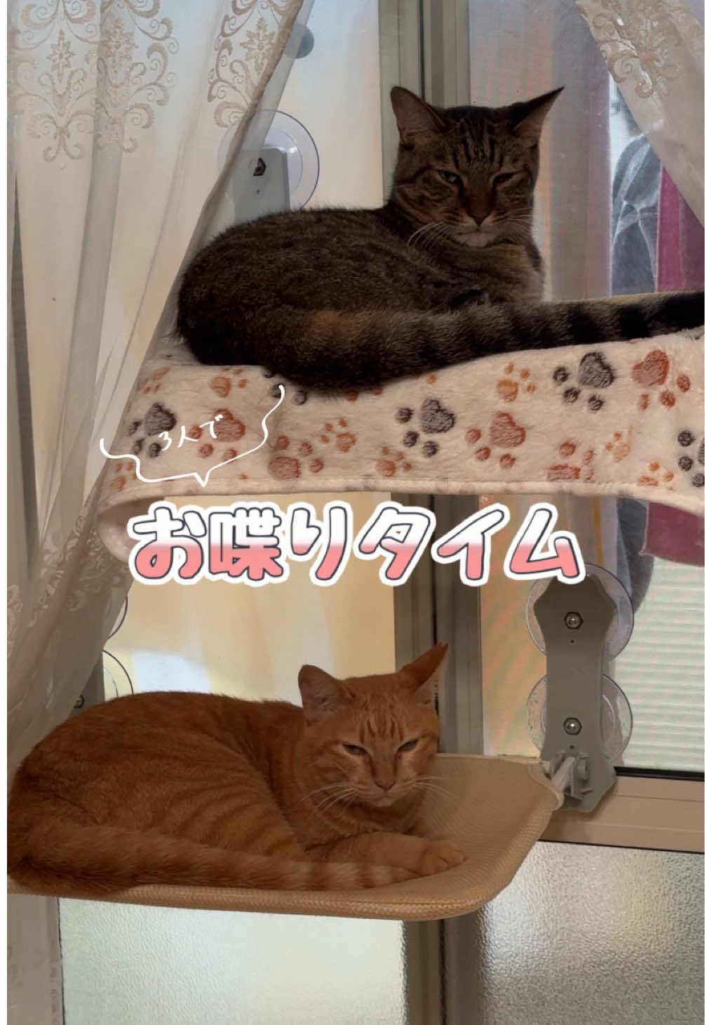 @さっことおちょ