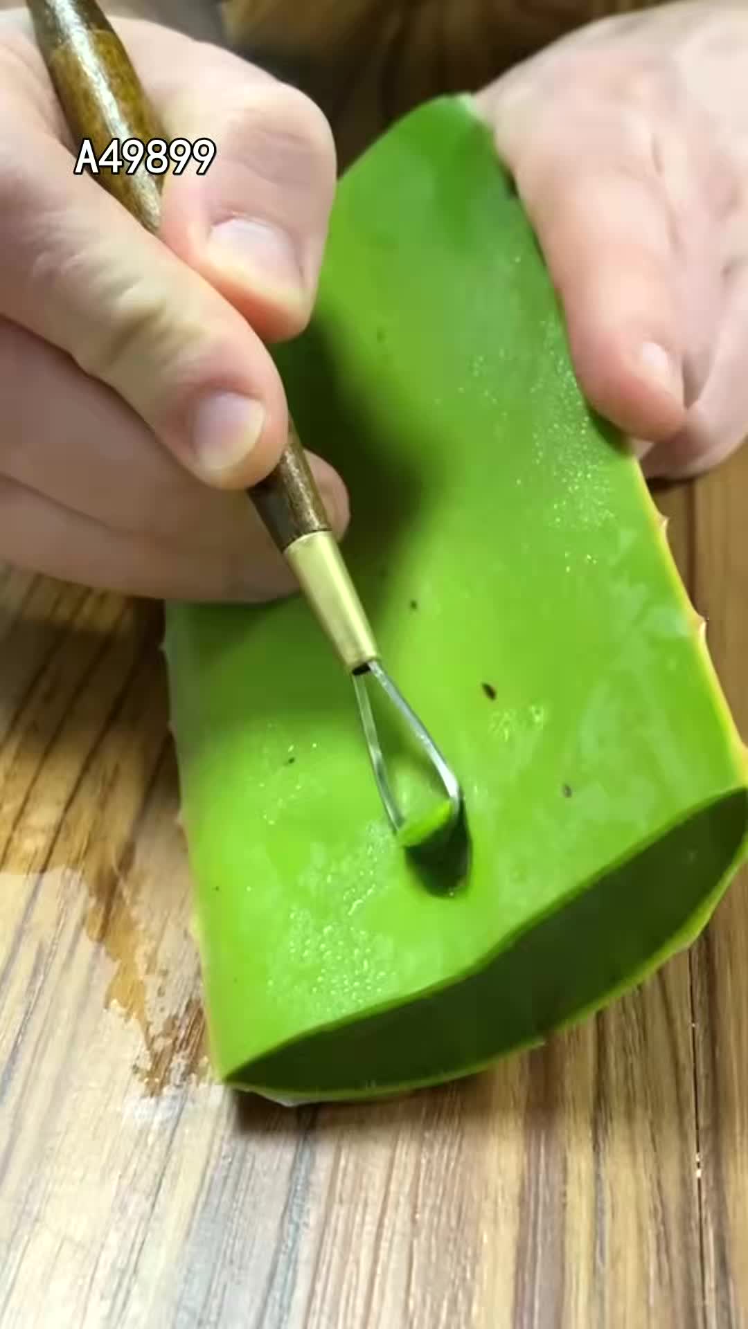 @pjtqbc