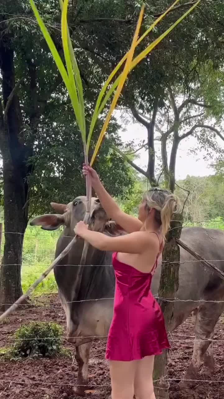 @maria
