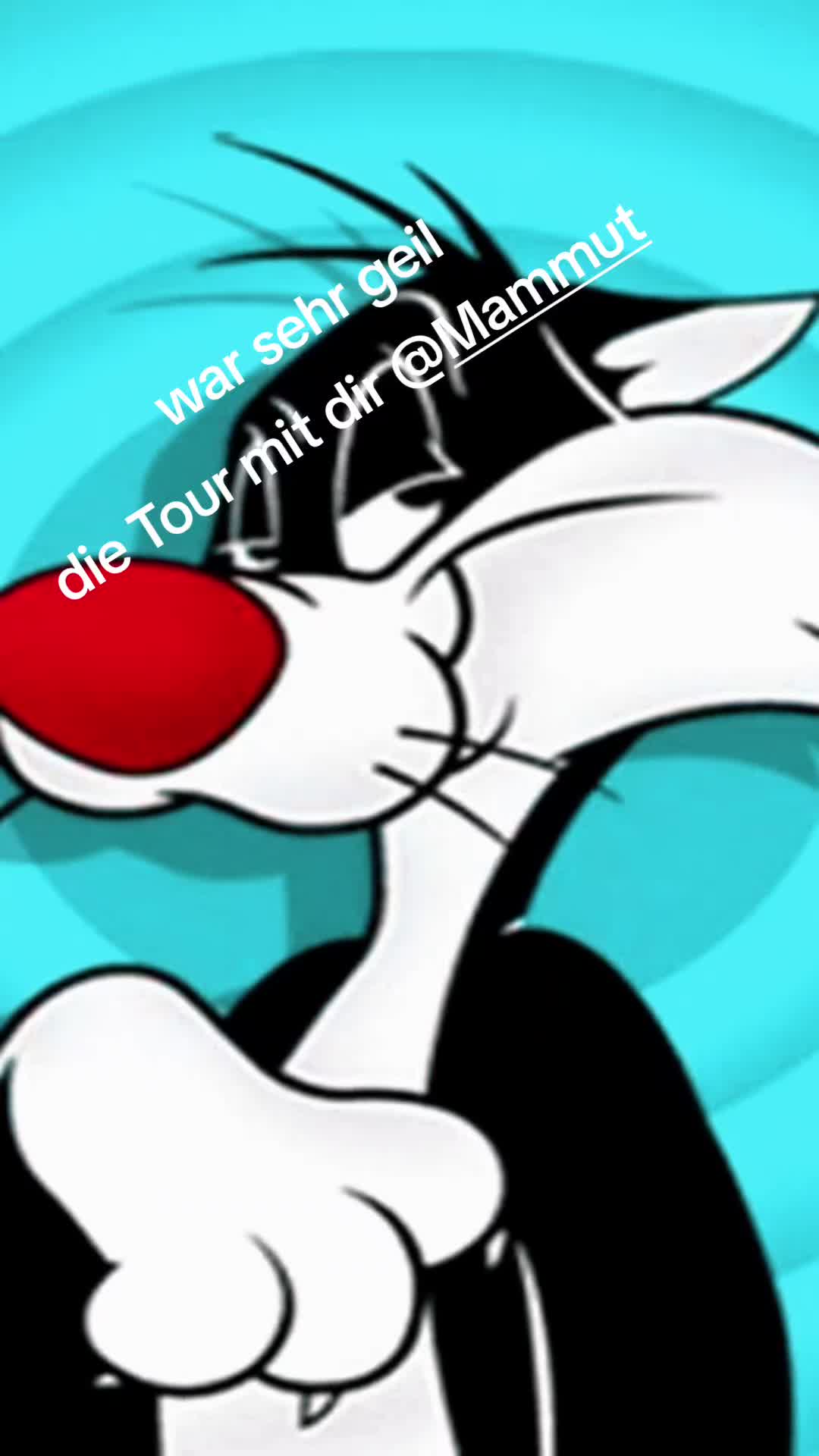 @bf3Sylvester