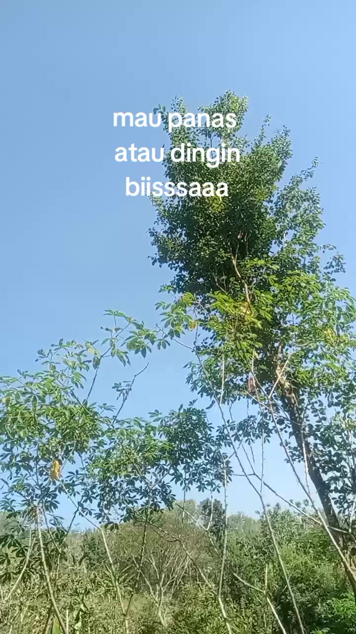 @Mbak Gindud