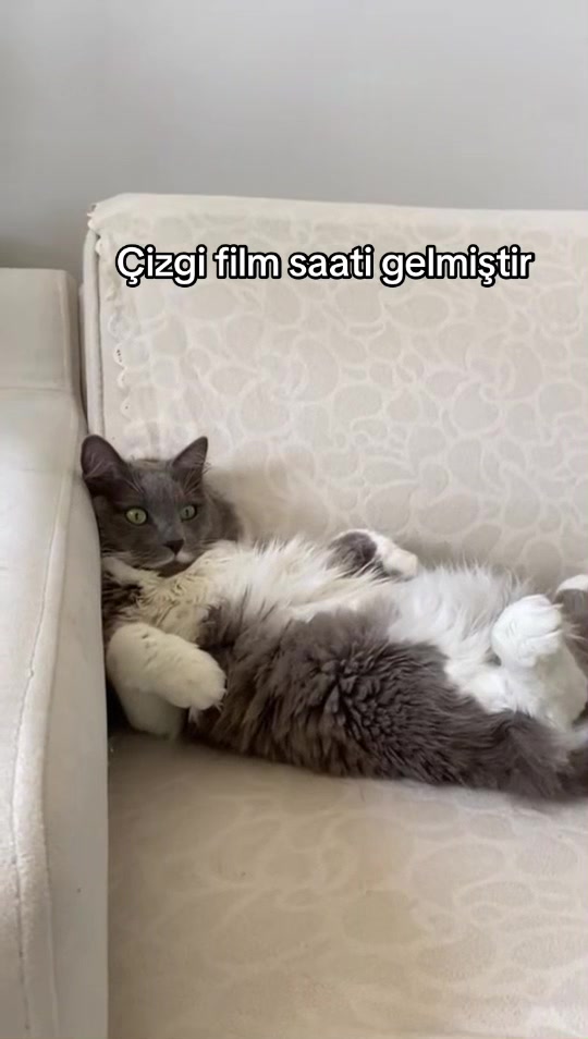 @Kıvanç&Berfin