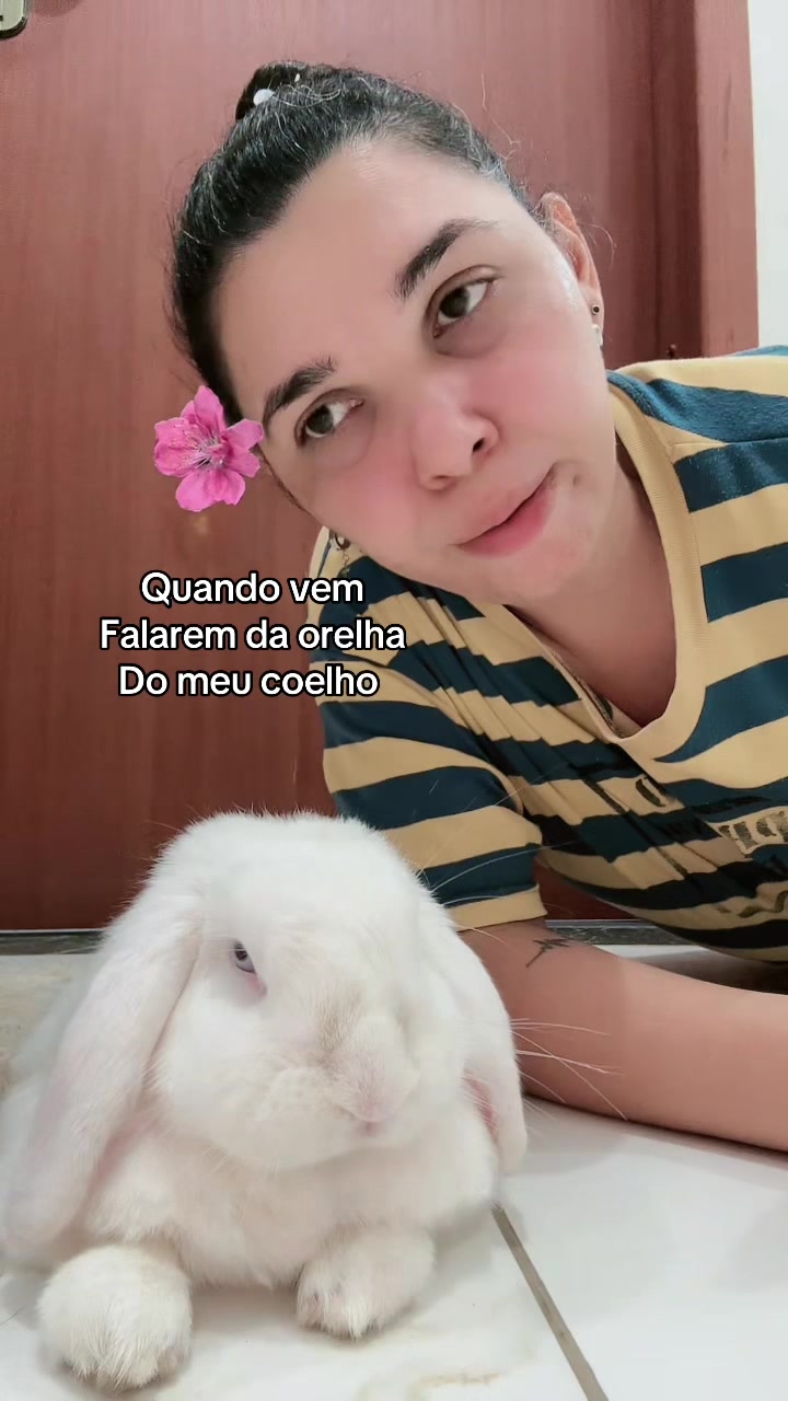 @Fer_Sousa