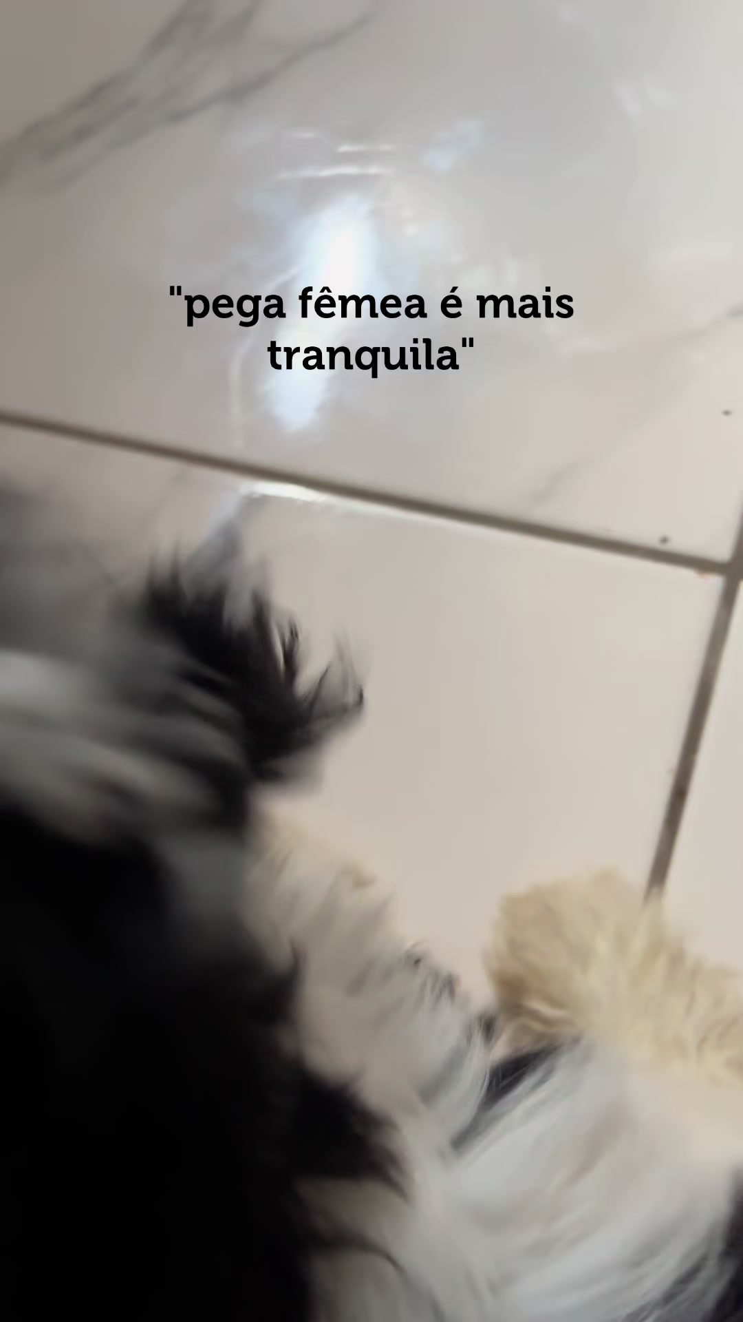 @Taliane Santos