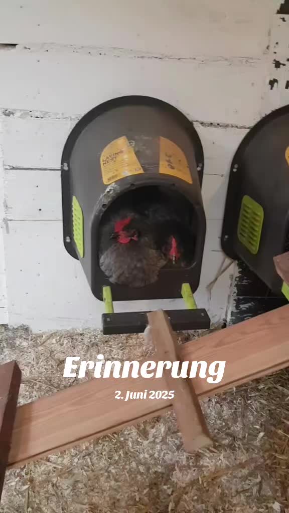 @DieSelbstvOrsorger
