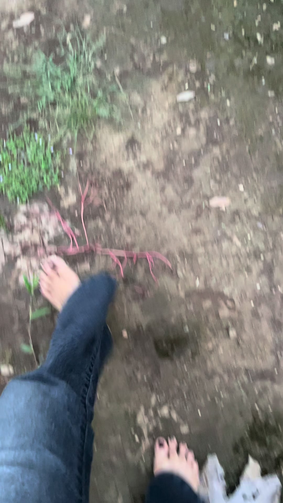 @bidadaritello37