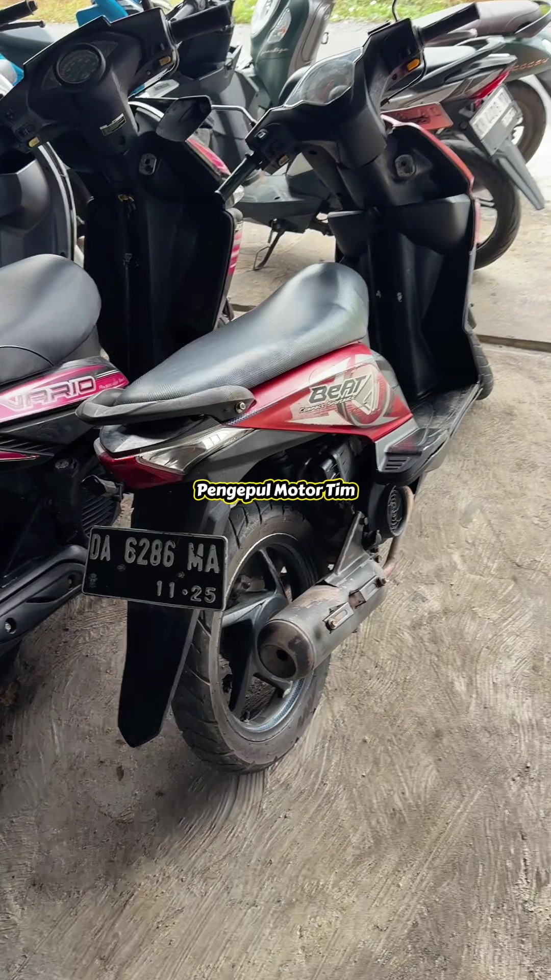 @pengepulmotortim