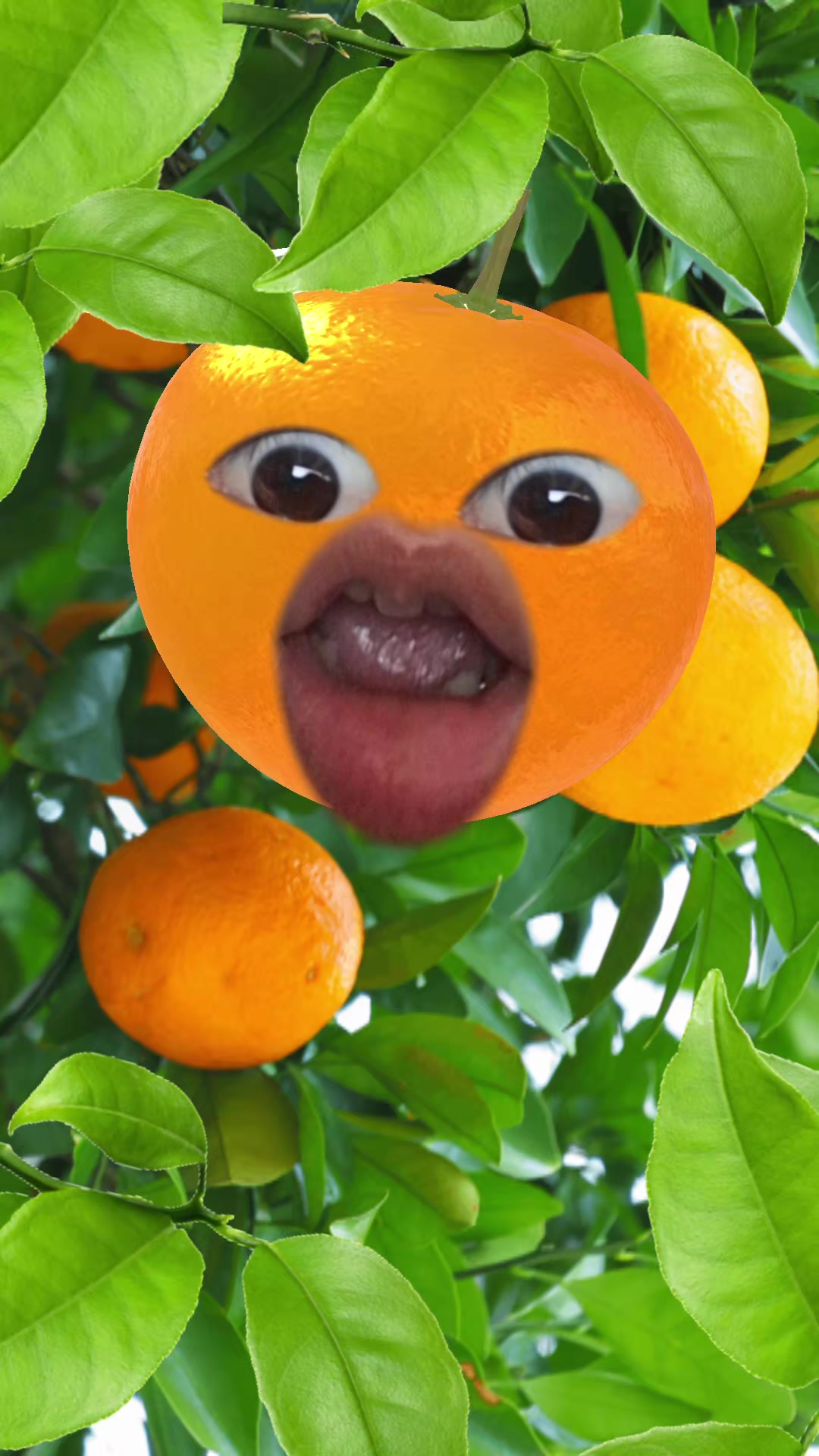 @Alcoyjennifer05🇵🇭
