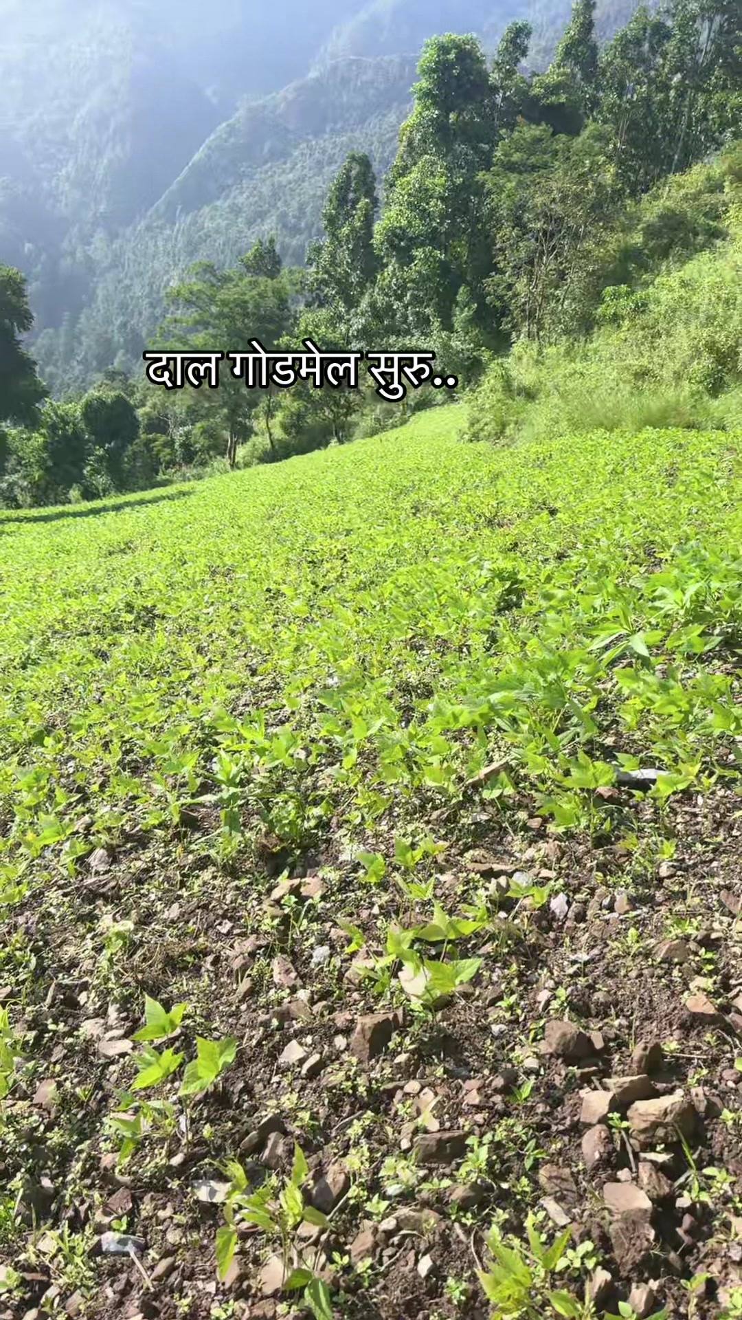 @सुम्निमा राई